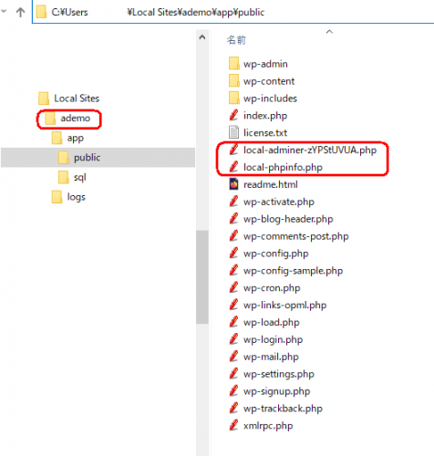 ローカルサイト ademoのファイル状態